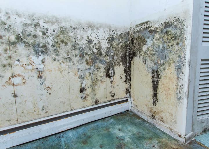 Water Damage Assessment and Inspection 1 water damage to walls and floor causing mold in Augusta, GA